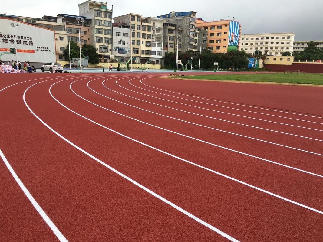 甘南藏族自治州学校塑胶跑道塑胶跑道材料 - 排名